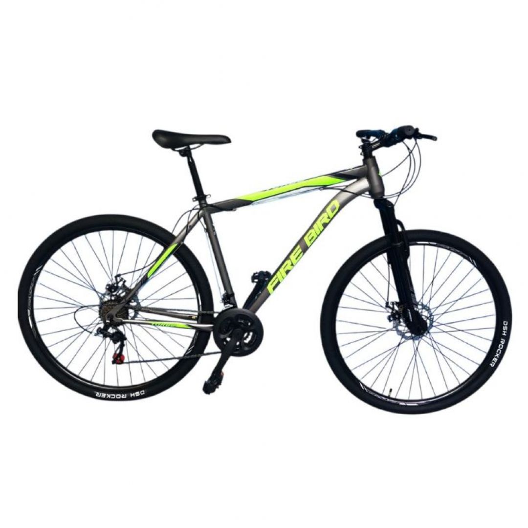 fire-bird-eco-r29-firebird1