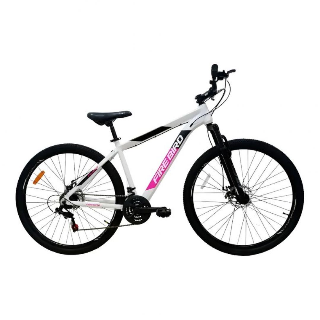 fire-bird-eco-r26-firebird2